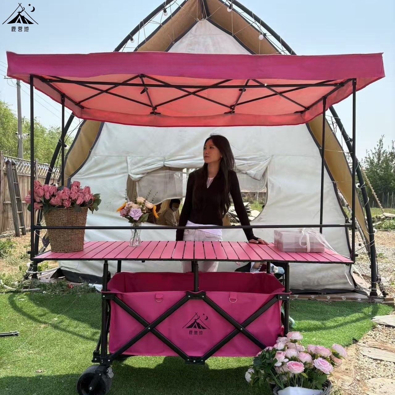 Chariot pliable multifonction pour marché et stand – Table 170 cm avec auvent réglable