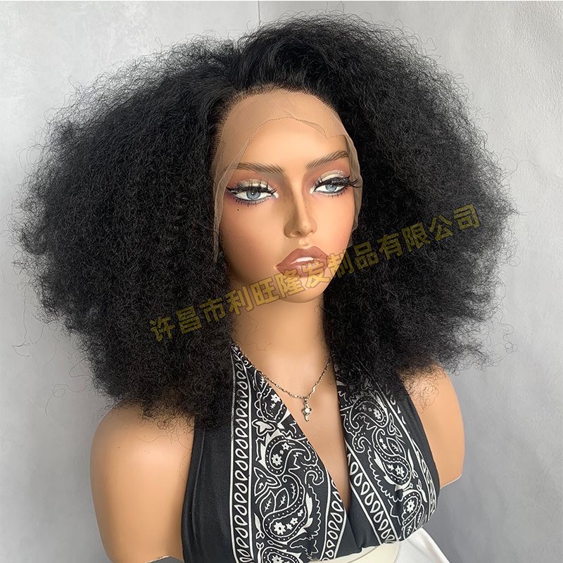 Lot de 10 perruques Afro Curly Blend Hair